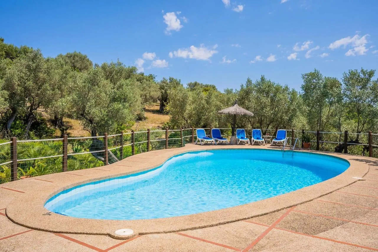 Alordes Villa Pollenca 0*,  Spain